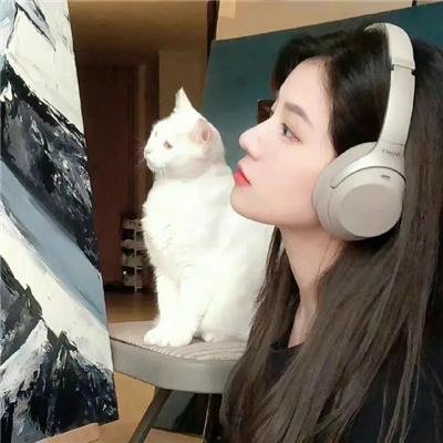罗扎布先生的混乱爱情